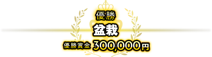 優勝盆栽優勝賞金300,000円