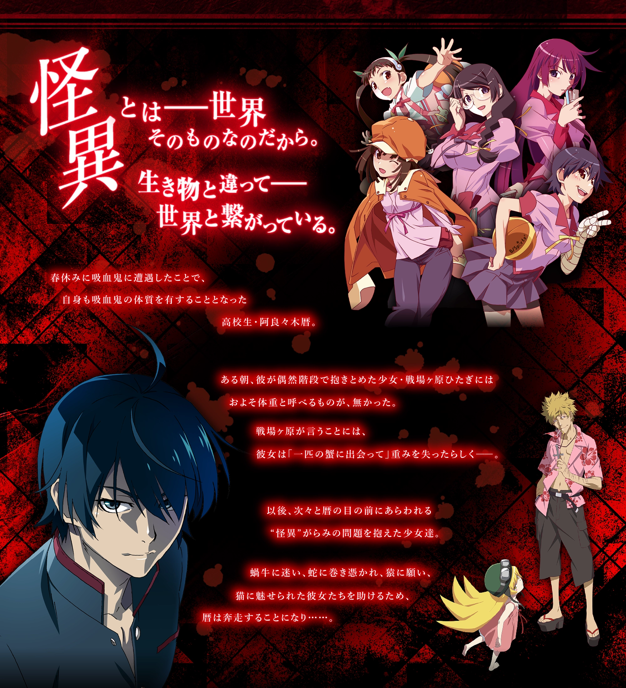 怪異とは――世界そのものなのだから。生き物と違って――世界と繋がっている。春休みに吸血鬼と遭遇したことで、自身も吸血鬼の体質を有することとなった高校生・阿良々木暦。ある朝、彼が偶然階段で抱きとめた少女・戦場ヶ原ひたぎには、およそ体重と呼べるものが、無かった。戦場ヶ原が言うことには、彼女は「一匹の蟹に出会って」重みを失ったらしく――。以後、次々と暦の目の前にあらわれる「怪異」がらみの問題を抱えた少女達。蝸牛に迷い、蛇に巻き憑かれ、猿に願い、猫に魅せられた彼女たちを助けるため、暦は奔走することになり………。