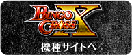 BINGO CROSS 特設サイトへ