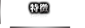 特徴 feature