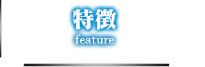 特徴 feature