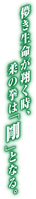 儚き生命が翔く時、柔の拳は「剛」となる。