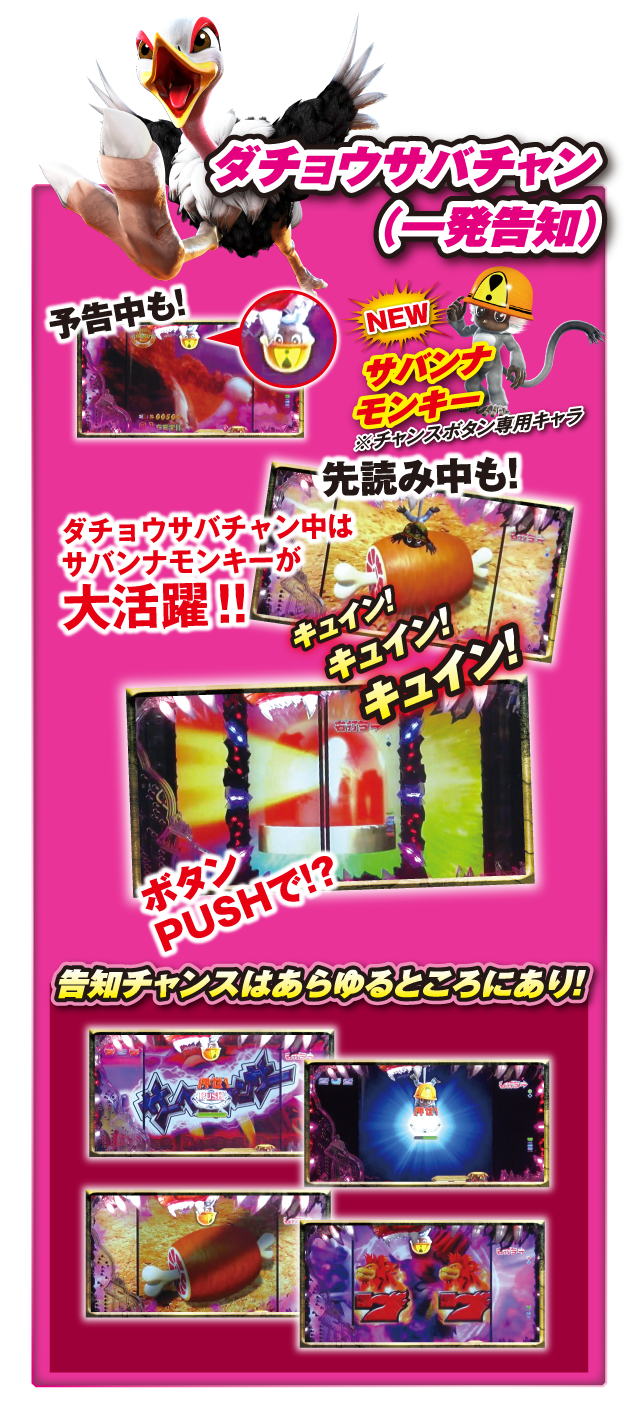 ダチョウサバチャン