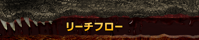 リーチフロー