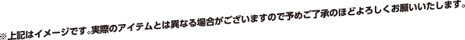※上記はイメージです。実際のアイテムとは異なる場合がございますので予めご了承のほどよろしくお願いいたします。