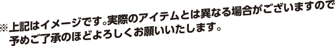 ※上記はイメージです。実際のアイテムとは異なる場合がございますので予めご了承のほどよろしくお願いいたします。