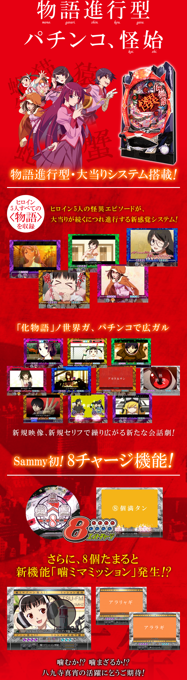 特徴　画像