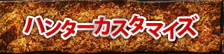 ハンターカスタマイズ