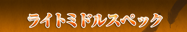 ライトミドルスペック　基本仕様