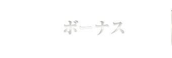 ボーナス