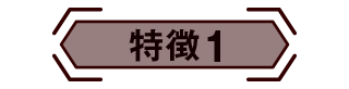 特徴1