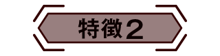 特徴2