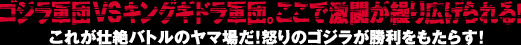 ゴジラ軍団 VS キングギドラ軍団。ここで激闘が繰り広げられる!