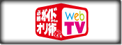 必的TV