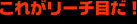 ꂪ[`ڂ