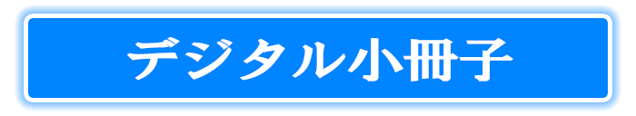 詳細情報