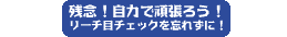 残念!自力で頑張ろう