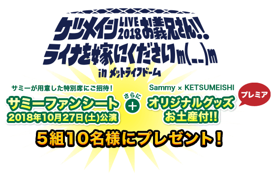 サミーファンシート＋オリジナルグッズお土産付き